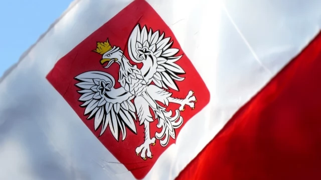 Tczew - Wieczornica listopadowa