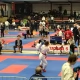 Tczew - Międzynarodowy turniej Hamburg Open w Karate WKF. Dobru występ tczewian