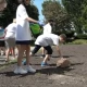 Tczew - Szkoły chcą tworzyć kwietne łąki. "Dwunastka" na pierwszy ogień