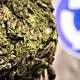 Tczew - W tym tygodniu mają wyciąć drzewa pod budowę ronda