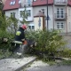 Tczew - 38 strażackich interwencji przy usuwaniu skutków wichury