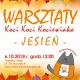 Tczew - Warsztaty KOCI KOCI... KOCIEWIAKA