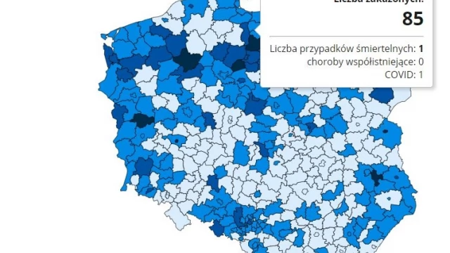 Tczew - 85 nowych przypadków koronawirusa