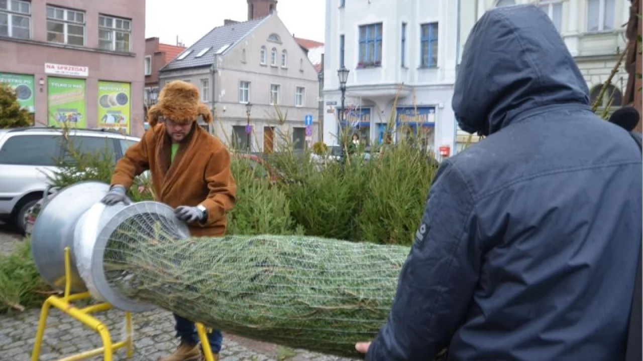 Tczew - Jarmark Bożonarodzeniowy 2014