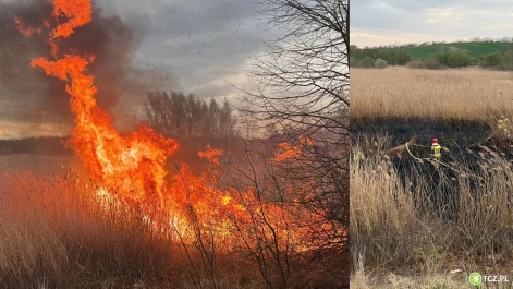 Tczew - Znowu płonęły trawy - na szczęście reakcja była błyskawiczna