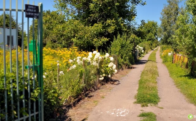 Tczew - Inwestycje w ROD. Dołącz do programu Pomorskie dla Działkowców 2026