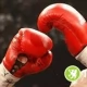 Tczew - Kanion Sport !!! Gala boksu zawodowego w Kościerzynie na dużym ekranie początek godz.20.00