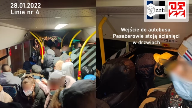Tczew - Zwierzęta mają więcej miejsca - Komunikacja Miejska w Tczewie