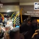 Tczew - Zwierzęta mają więcej miejsca - Komunikacja Miejska w Tczewie