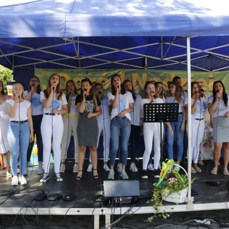 Tczew - XIV Edycja Ogrodów Nadziei - uzbierano ponad 30 tysięcy