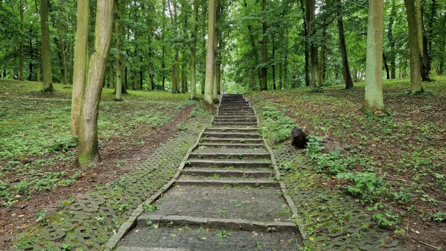 Tczew - Rewitalizacja Parku Miejskiego. Kończą się prace nad dokumentacją