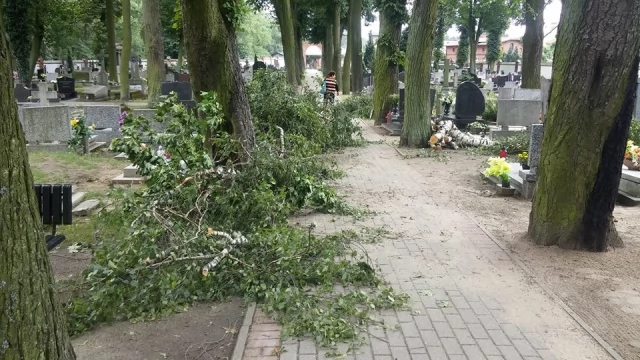 Tczew - Trwa usuwanie skutków nawałnicy. W Pelplinie przeszła m. in. przez cmentarz 