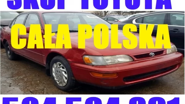 Tczew - Skup Aut za GotÓwkę każde auto t.504504891