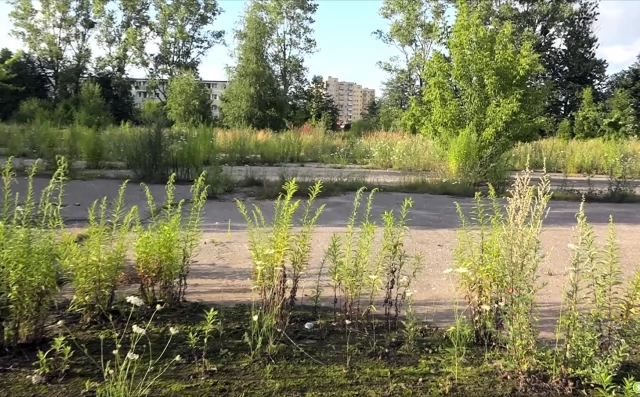 Tczew - Wkrótce kolejny przetarg na sprzedaż dawnej jednostki wojskowej