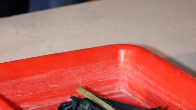 Tczew - Wiemy, co jest w kapsule czasu, którą zakopał król Prus