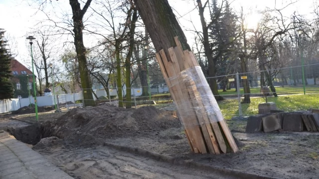 Tczew - Trwa rozbudowa sieci ciepłownicznej. Ekipy pracują na terenie dawnego cmentarza
