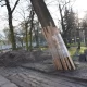Tczew - Trwa rozbudowa sieci ciepłownicznej. Ekipy pracują na terenie dawnego cmentarza