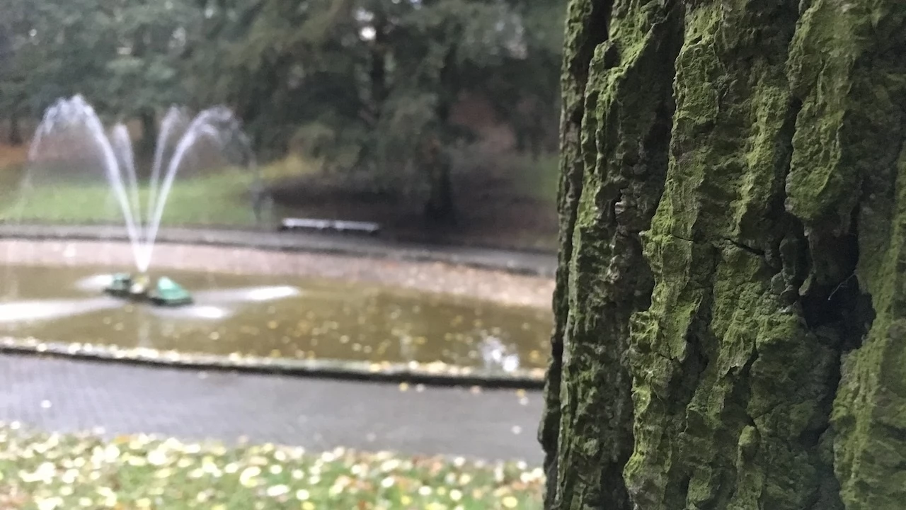 Tczew - Park Miejski jesienią z dnia 7.10.2016