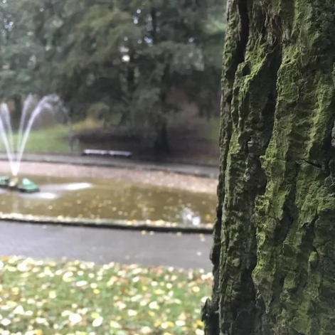 Tczew - Park Miejski jesienią z dnia 7.10.2016