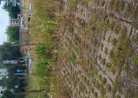 Tczew - Jesteśmy zaniepokojeni stanem parkingu