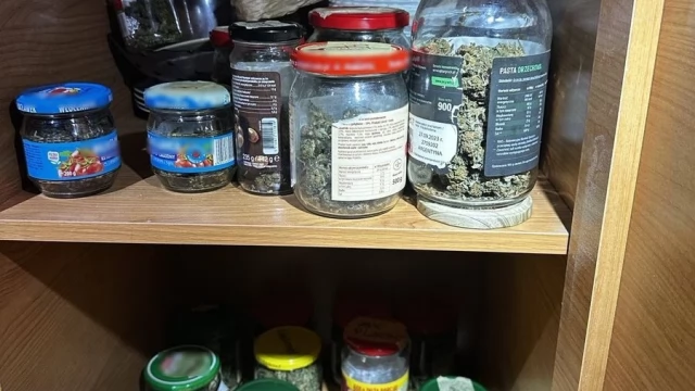 Tczew - Marihuana, haszysz, amfetamina, tabletki MDMA, grzyby halucynogenne w mieszkaniu 40-latka