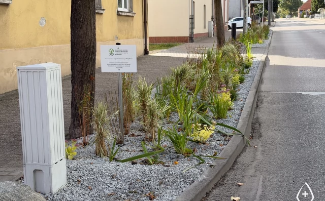 Tczew - Pierwszy miejski ogród deszczowy w Pelplinie już powstał