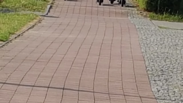 Tczew - Bezpieczne wakacje ze Strażą Miejską ?