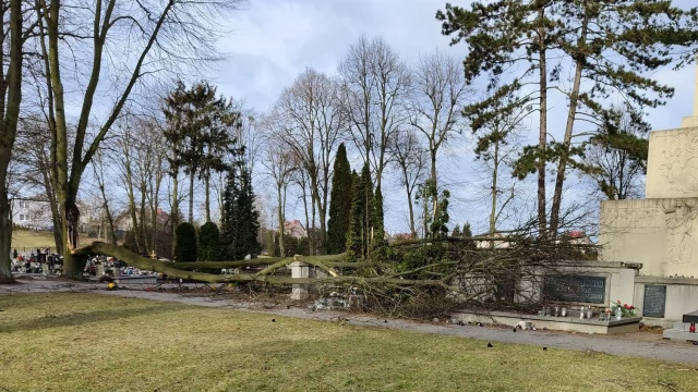 Tczew - Orkan "Otto". W Pelplinie wiatr uszkodził kilkadziesiąt nagrobków