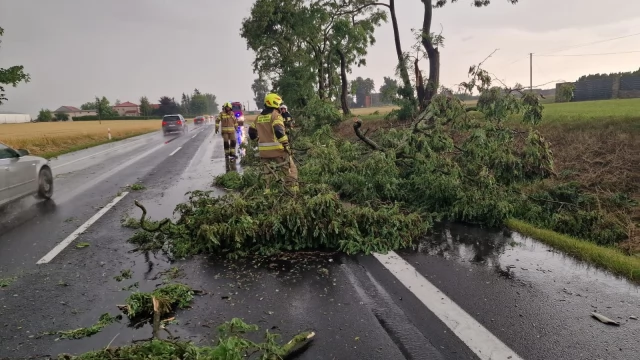 Tczew - 22 interwencje po burzy w powiecie tczewskim