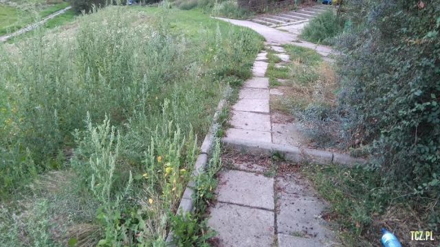 Tczew - Zaniedbana Kanonka