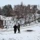 Tczew - W Tczewie powstanie miejski ogród