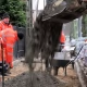 Tczew - Ulica Bałdowska. Pieszym będzie wygodniej
