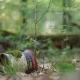 Tczew - Wypoczynek, przyroda i śmieci. Oto dlaczego tereny zielone toną w odpadach