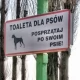 Tczew - O psich nieczystościach ciąg dalszy. "Lepiej wrzucić do zwykłego kosza, niż zostawić przy piaskownicy"