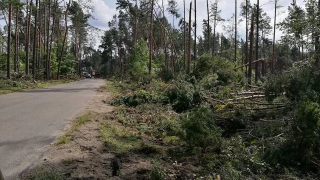 Tczew - Ostatnie dni to okres wytężonej pracy dla energetyków i strażaków