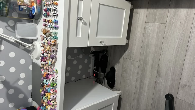 Tczew - Littlest pet shop