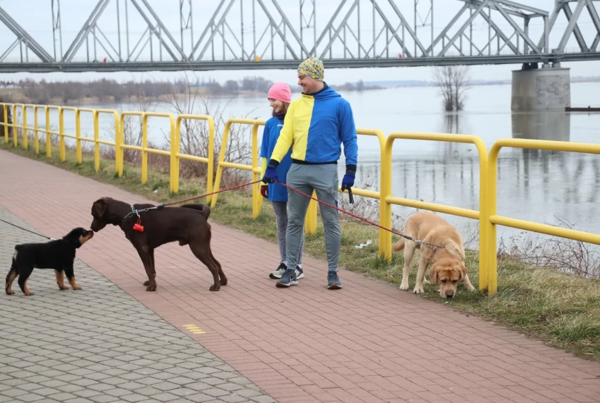 Tczew - Parkrun - "Solidarni z Ukrainą"