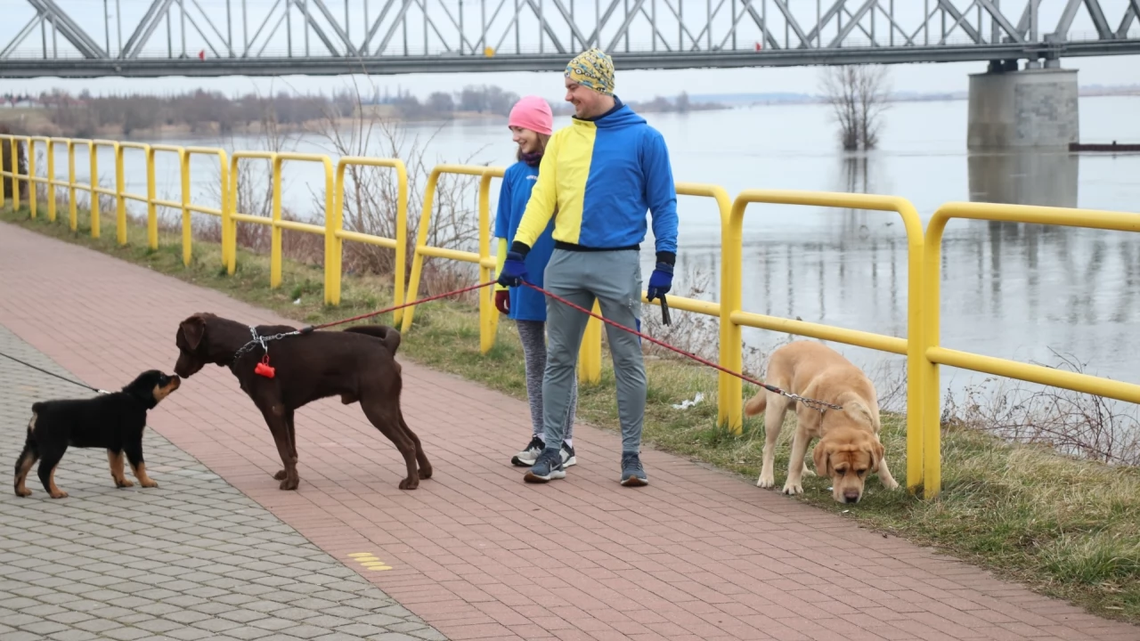 Tczew - Parkrun - "Solidarni z Ukrainą"
