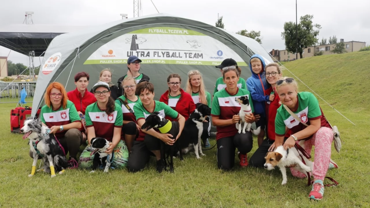 Tczew - Zawody Flyball, czyli wyścig psich sztafet