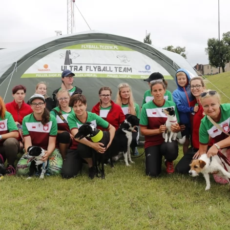 Tczew - Zawody Flyball, czyli wyścig psich sztafet