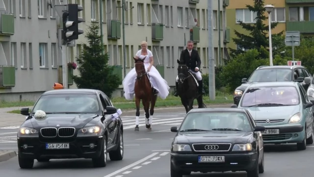 Tczew - Wierzchem przez miasto. Tak się teraz jeździ do ślubu!