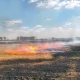 Tczew - 28 strażaków gasiło płonące zboże