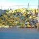 Tczew - "Nierecyklingowe" odpady z Tczewa trafią do spalarni w Gdańsku
