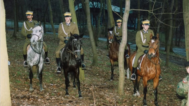 Tczew - Dzień Tczewa w latach 1995-2010. Wystawa online na stronie Skarbnicy