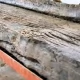 Tczew - A jednak to statek! Kto wypatrzył w Wiśle to cenne znalezisko?