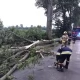 Tczew - Pluton "Wichura" pomagał w Mikołajkach Pomorskich, spustoszonych przez nawałnicę