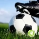Tczew - Kanion Sport !!! AS Saint-Etienne - Dijon FCO na dużym ekranie początek godz. 18.00