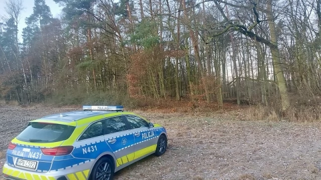 Tczew - Niewybuchy w lesie pod Tczewem