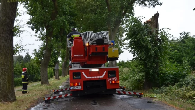 Tczew - Gwałtowne załamanie pogody - straż ma ręce pełne roboty [FOTO, WIDEO]