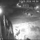 Tczew - Pracownicy schroniska wstrząśnięci - ktoś w barbarzyński sposób przerzucił psa przez ogrodzenie